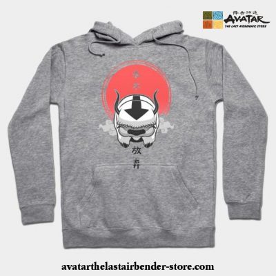 Avatar The Last Airbender Hoodie Gray / S