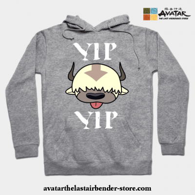 Yip Appa Avatar The Last Airbender Hoodie Gray / S